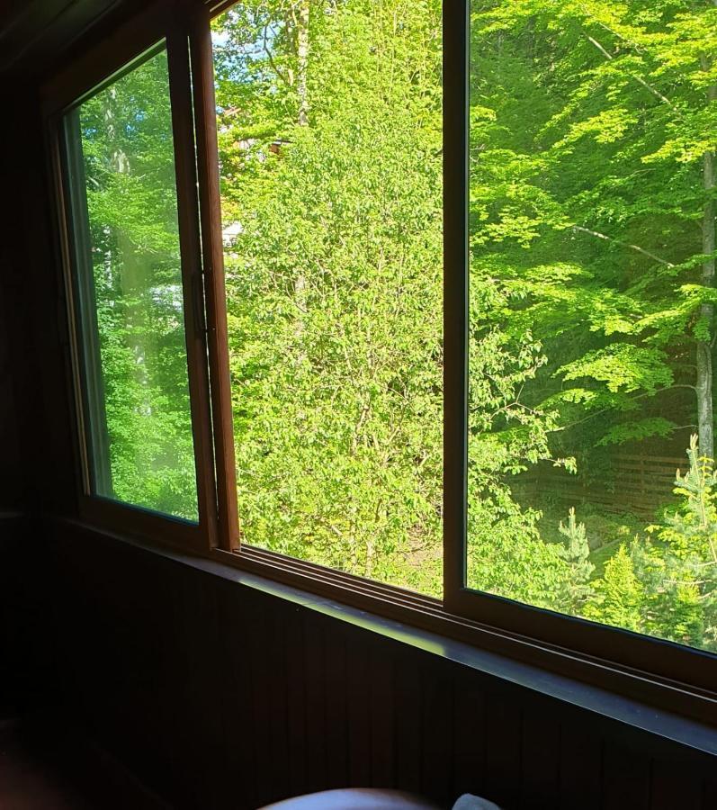 Apartament View