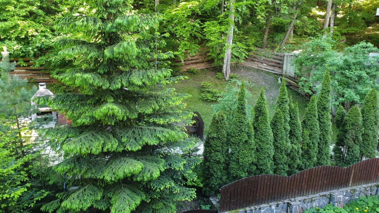 View Apartament *